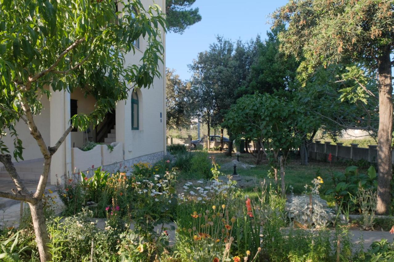 נין Apartmani Bosiljka מראה חיצוני תמונה