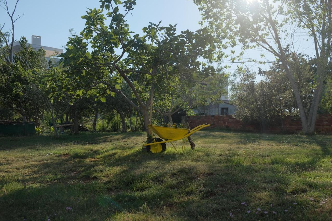 נין Apartmani Bosiljka מראה חיצוני תמונה