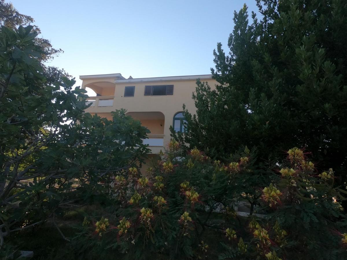 נין Apartmani Bosiljka מראה חיצוני תמונה