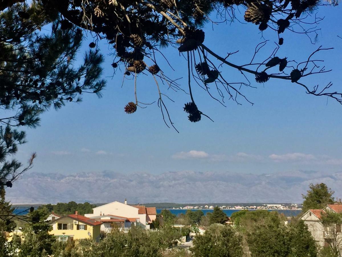 נין Apartmani Bosiljka מראה חיצוני תמונה