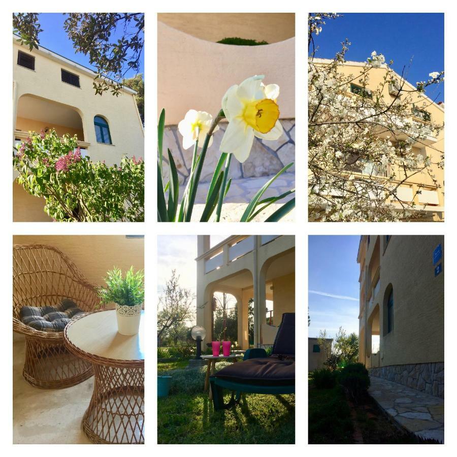 נין Apartmani Bosiljka מראה חיצוני תמונה
