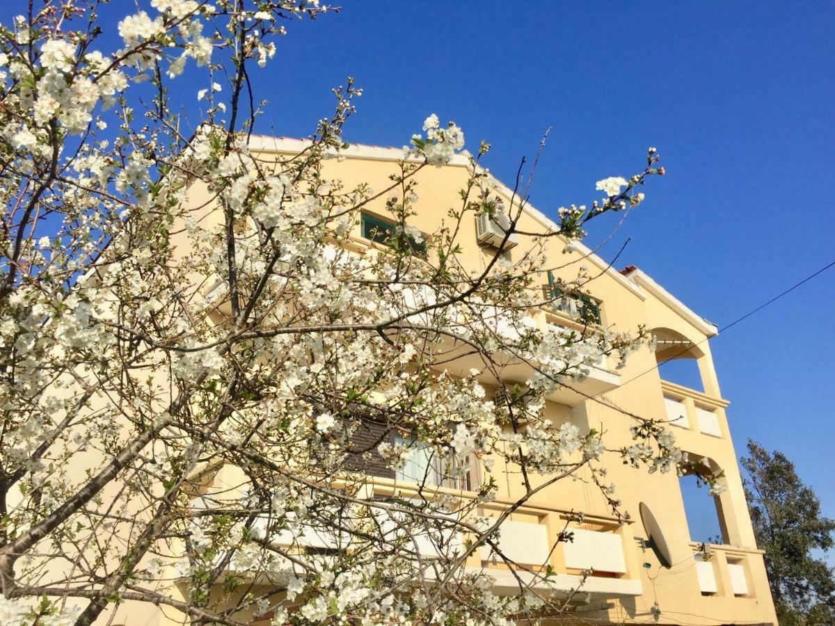 נין Apartmani Bosiljka מראה חיצוני תמונה